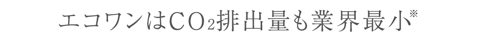 エコワン│ネクステップ